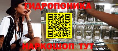 скорость Анапа