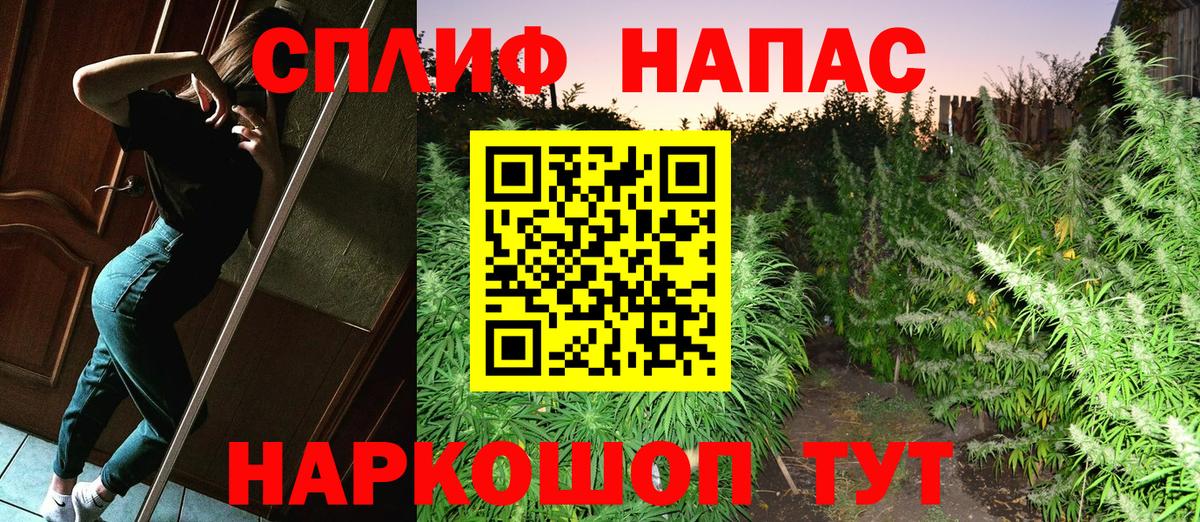 Марихуана OG Kush Элиста